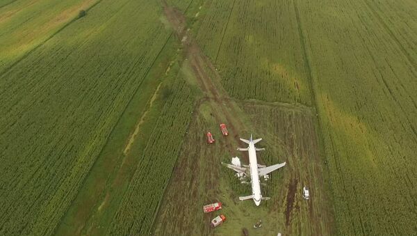 Чудо в кукурузе: что известно о жесткой посадке самолета на кукурузное поле - Sputnik Беларусь
