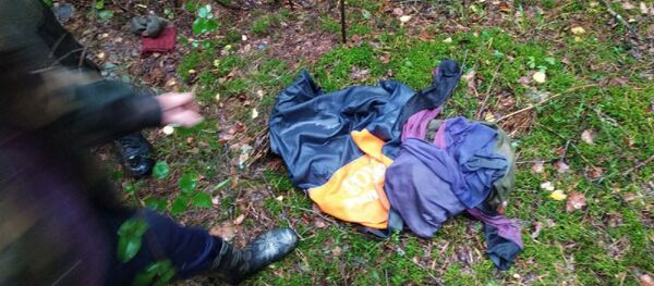 Пропавшего в Воложинском районе инвалида I группы нашли мертвым - Sputnik Беларусь