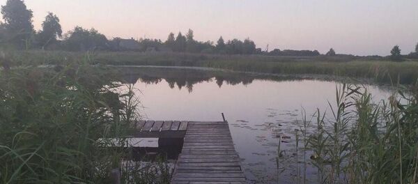 Двухлетний ребенок утонул в реке в Поставской районе - Sputnik Беларусь