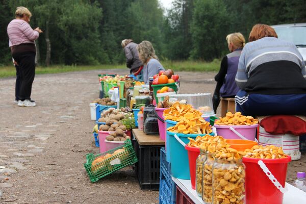 Опытные грибники – о приметах, которые помогут набрать полную корзину - Sputnik Беларусь