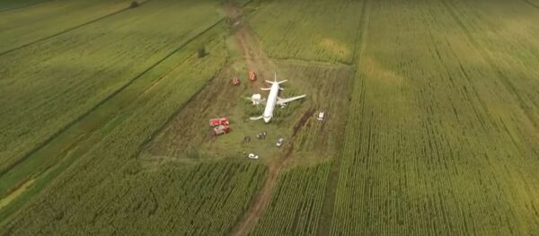 Пилот посадил самолет на кукурузное поле, командир судна рассказал, как это было Пилот посадил самолет на кукурузное поле, командир судна рассказал, как это было - Sputnik Беларусь