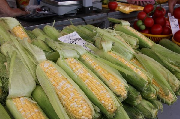 Дешевеют овощи и ягоды: что почем продают на Комаровке в середине августа - Sputnik Беларусь