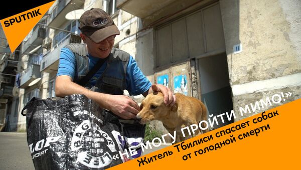 Неравнодушный житель Тбилиси спасает бездомных собак от голода - Sputnik Беларусь