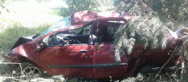 ДТП в Калинковичском районе - погиб водитель автомобиля - Sputnik Беларусь