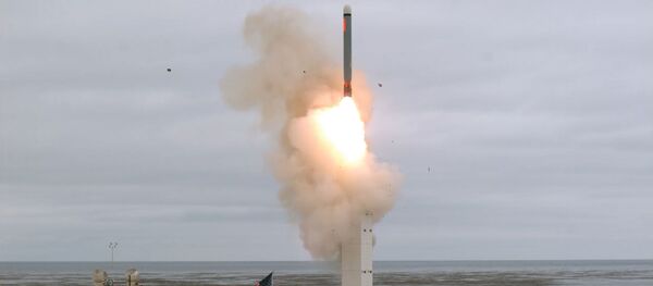Власти США опубликовали видео испытаний запрещенной ракеты Власти США опубликовали видео испытаний запрещенной ракеты - Sputnik Беларусь
