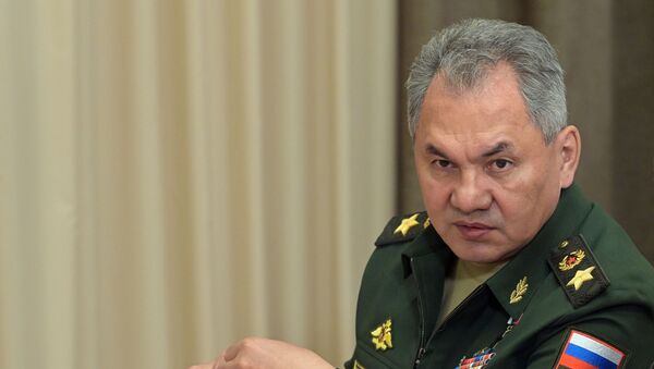 Министр обороны РФ Сергей Шойгу - Sputnik Беларусь