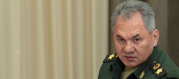 Министр обороны РФ Сергей Шойгу Министр обороны РФ Сергей Шойгу - Sputnik Беларусь