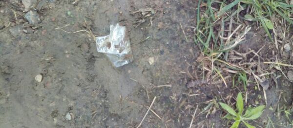 Изъятый наркотик - Sputnik Беларусь