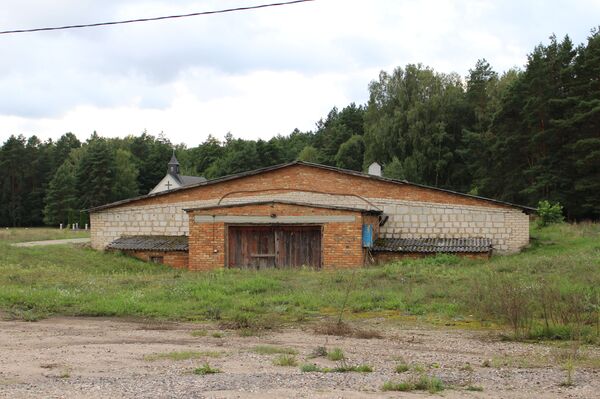 Дети заставили раздеться дочку, а обвинили сына – мать рассказала правду - Sputnik Беларусь