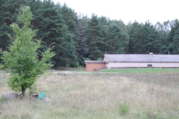 Дети заставили раздеться дочку, а обвинили сына – мать рассказала правду - Sputnik Беларусь
