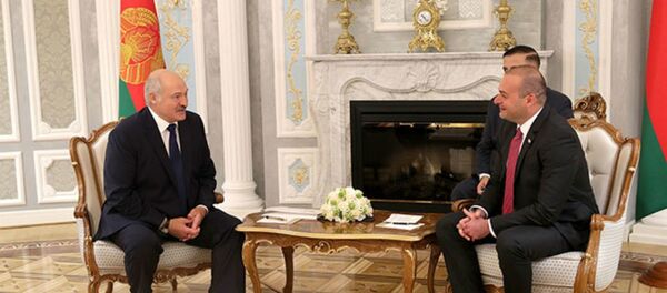 Сустрэча прэзідэнта Аляксандра Лукашэнкі з прэм'ер-міністрам Грузіі Мамука Бахтадзе Сустрэча прэзідэнта Аляксандра Лукашэнкі з прэм'ер-міністрам Грузіі Мамука Бахтадзе - Sputnik Беларусь