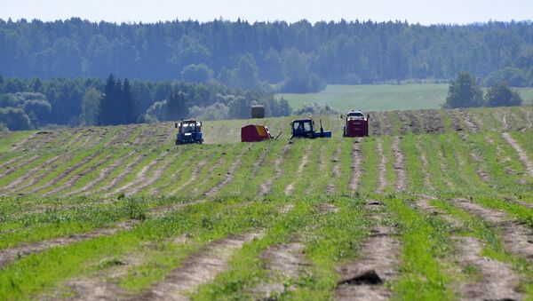 Трактары працуюць на палях са льном, архіўнае фота - Sputnik Беларусь