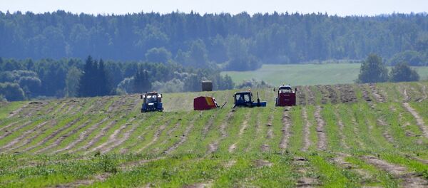 Трактора работают на полях, архивное фото Трактора работают на полях, архивное фото - Sputnik Беларусь