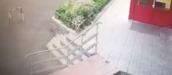 Как полицейские прогоняли косолапых  из города на Камчатке  - Sputnik Беларусь