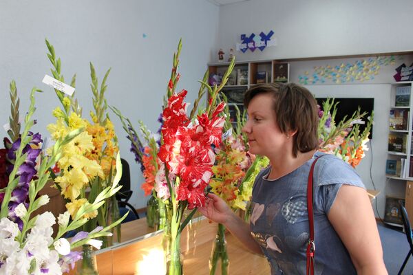 Цветок на 1 сентября. Самые модные сорта гладиолусов показали в Гродно Цветок на 1 сентября. Самые модные сорта гладиолусов показали в Гродно - Sputnik Беларусь