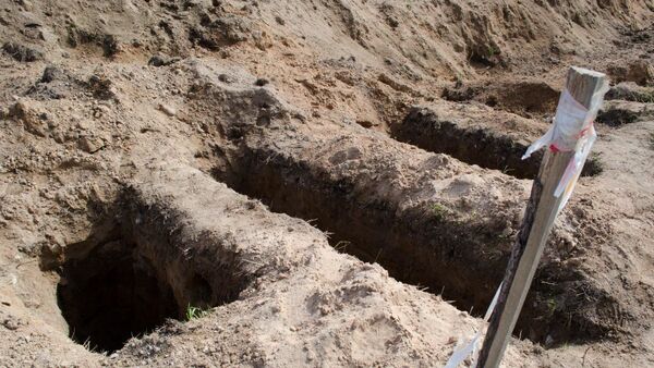 Место раскопок в районе деревни Жестяная Горка, где следователи обнаружили около 500 тел жертв латвийских карателей - Sputnik Беларусь