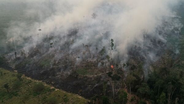 Лесной пожар в Амазонии - Sputnik Беларусь