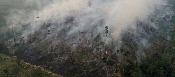 Лесной пожар в Амазонии - Sputnik Беларусь