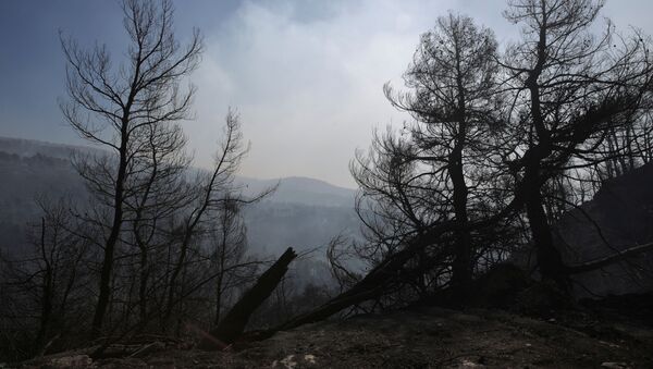 Последствия лесных пожаров в Греции - Sputnik Беларусь