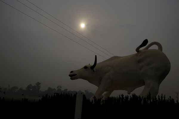 Скульптура быка на фоне смога от природного пожара в лесах Амазонии  - Sputnik Беларусь