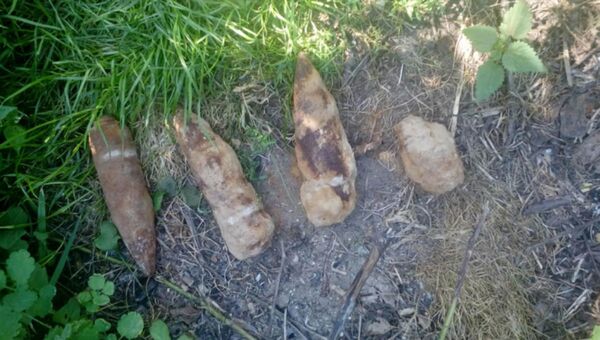Боеприпасы времен ВОВ нашел на огороде житель Лоевского района - Sputnik Беларусь