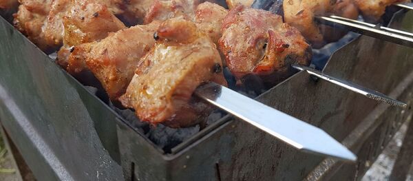 Шашлыки, архивное фото - Sputnik Беларусь