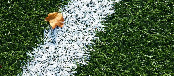 Газон на футбольном поле, архивное фото Газон на футбольном поле, архивное фото - Sputnik Беларусь