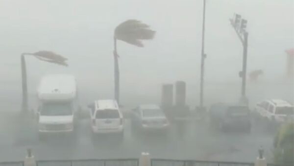 Последствия урагана Дориан на  острове Сент-Томас - Sputnik Беларусь