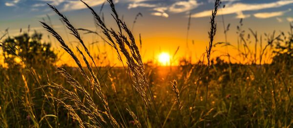 Заход солнца - Sputnik Беларусь