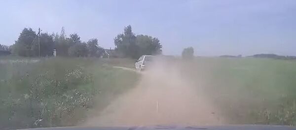 Пьяный дачник устроил гонки с ГАИ под Слуцком  - Sputnik Беларусь