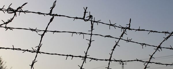 Колючая проволока, архивное фото - Sputnik Беларусь