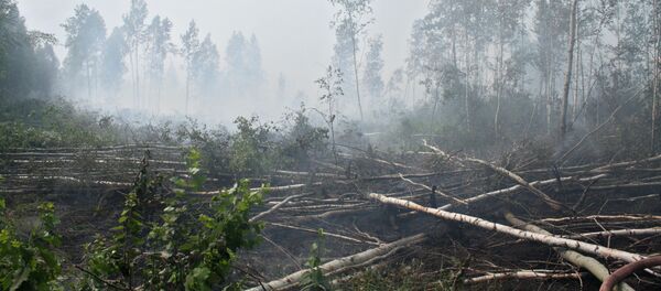 Тушение торфяных пожаров, архивное фото - Sputnik Беларусь