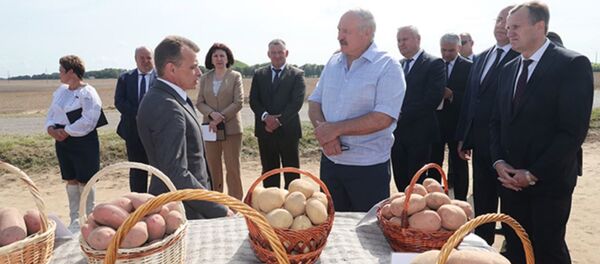 Рабочая поездка президента Беларуси Александр Лукашенко в Смолевичский район - Sputnik Беларусь