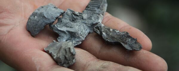 Осколки от снарядов в Донбассе - Sputnik Беларусь