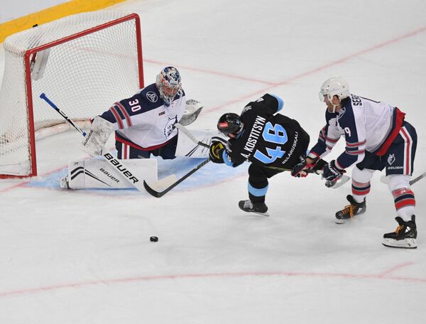 Фотофакт: Николай Лукашенко болеет за Динамо в майке клуба - Sputnik Беларусь