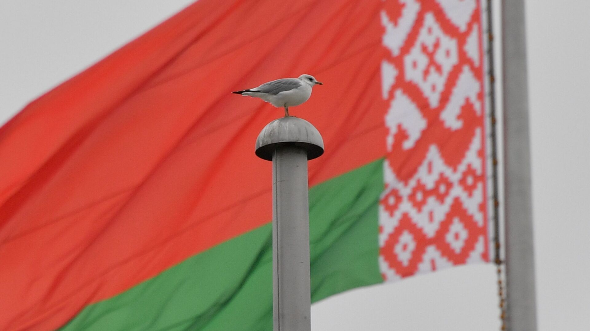 Флаг Беларуси, архивное фото - Sputnik Беларусь, 1920, 07.12.2021