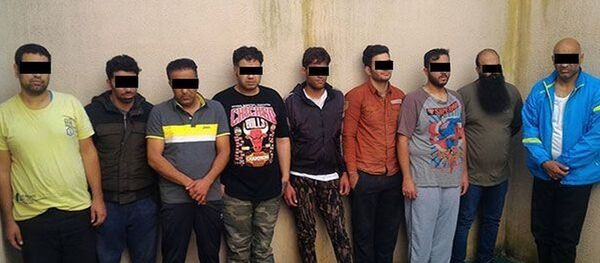 Турок пытался помочь 14 иранцам пересечь белорусскую границу - Sputnik Беларусь