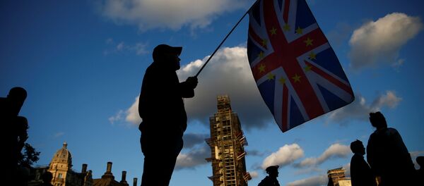 Демонстранты в Лондоне Демонстранты в Лондоне - Sputnik Беларусь