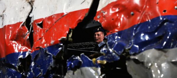 Доклад Совета безопасности Нидерландов по причинам крушения Boeing 777 Доклад Совета безопасности Нидерландов по причинам крушения Boeing 777 - Sputnik Беларусь