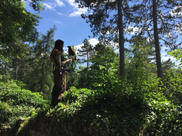 Девушка с ястребом в лесу Тутлингена в Германии - Sputnik Беларусь