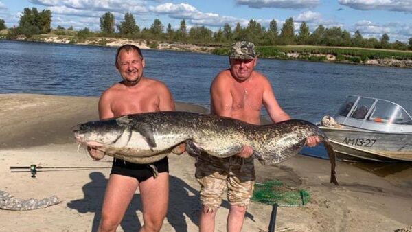 Рыбаки выловили в Припяти сомов размером с человека - Sputnik Беларусь