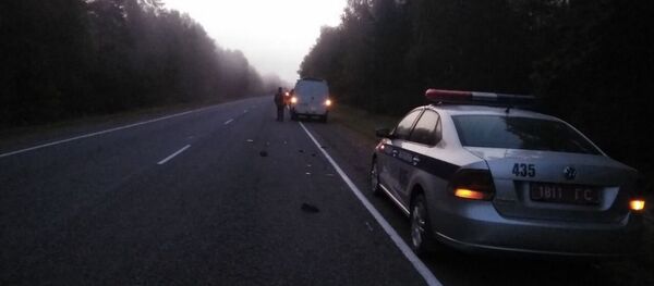 Место аварии в Житковичском районе - Sputnik Беларусь