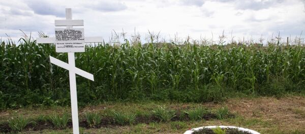 Место крушения Boeing 777 малайзийских авиалиний - Sputnik Беларусь