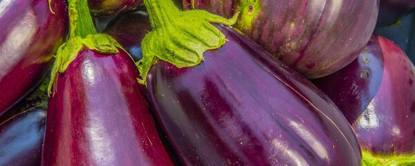 Баклажаны - Sputnik Беларусь