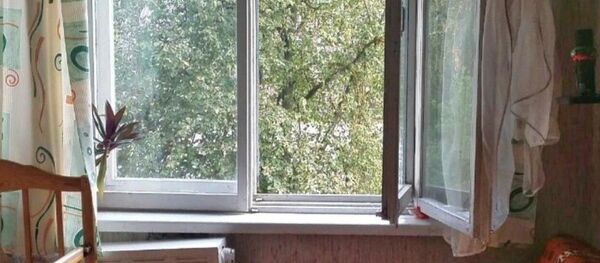 Окно, из которого выпал ребенок - Sputnik Беларусь