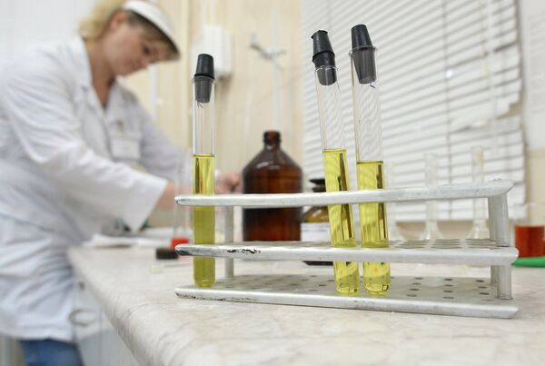 Грибочки радиоактивные? Как на Комаровке проверяют продукты - Sputnik Беларусь