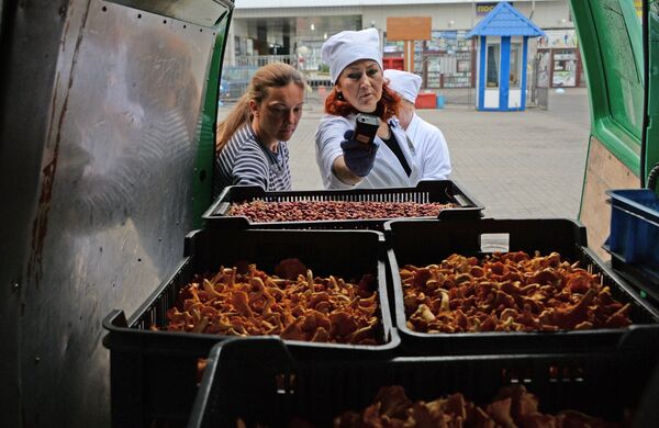 Грибочки радиоактивные? Как на Комаровке проверяют продукты - Sputnik Беларусь