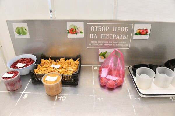 Грибочки радиоактивные? Как на Комаровке проверяют продукты - Sputnik Беларусь