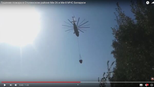 МЧС показало, как вертолеты тушат лесной пожар в Столинском районе - Sputnik Беларусь