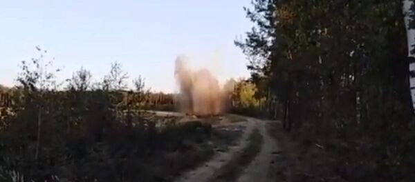 Почти 60 мин обнаружено на территории РОВД в Ивацевичах Почти 60 мин обнаружено на территории РОВД в Ивацевичах - Sputnik Беларусь